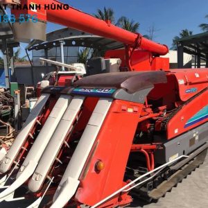Khám Phá Thế Giới Đa Dạng của https//maycaycu.com/